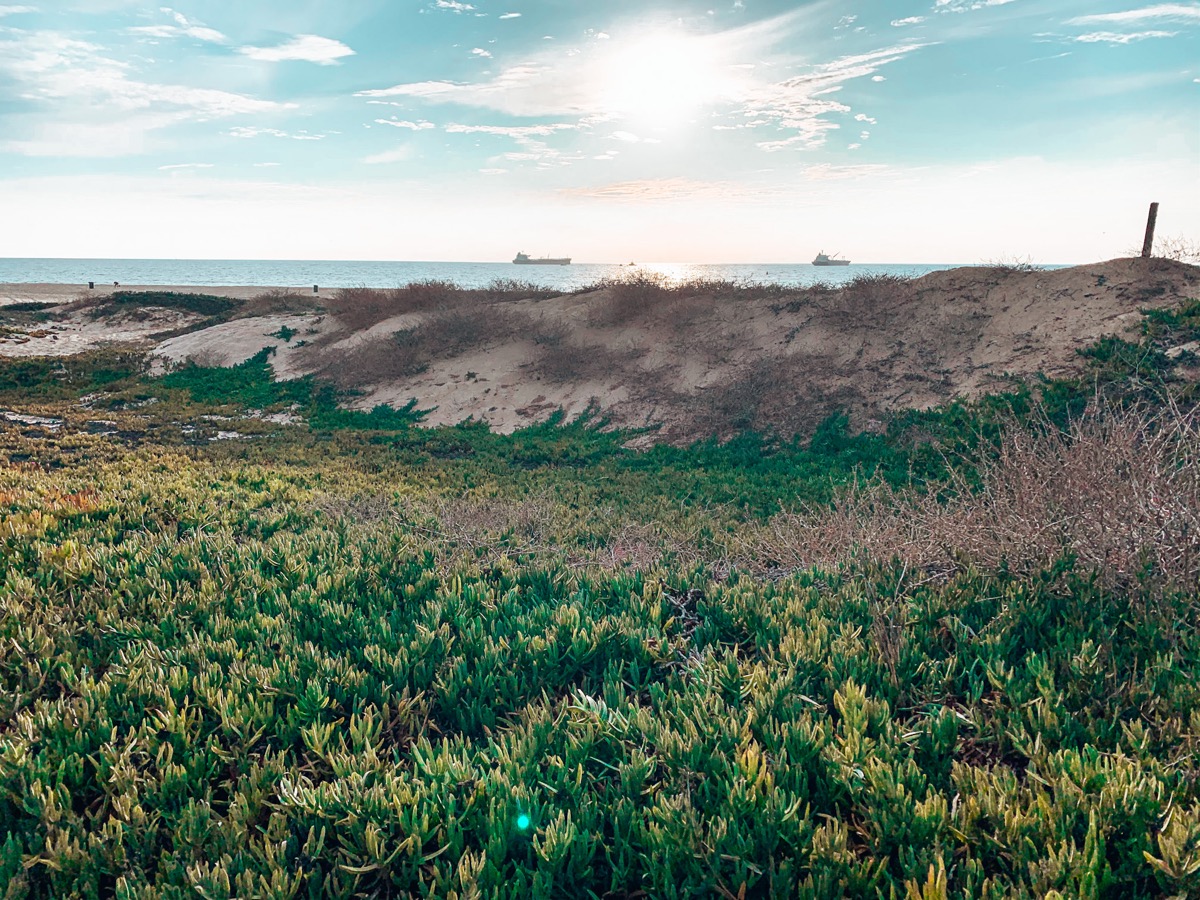 Manhattan Beach, California Fall 2019